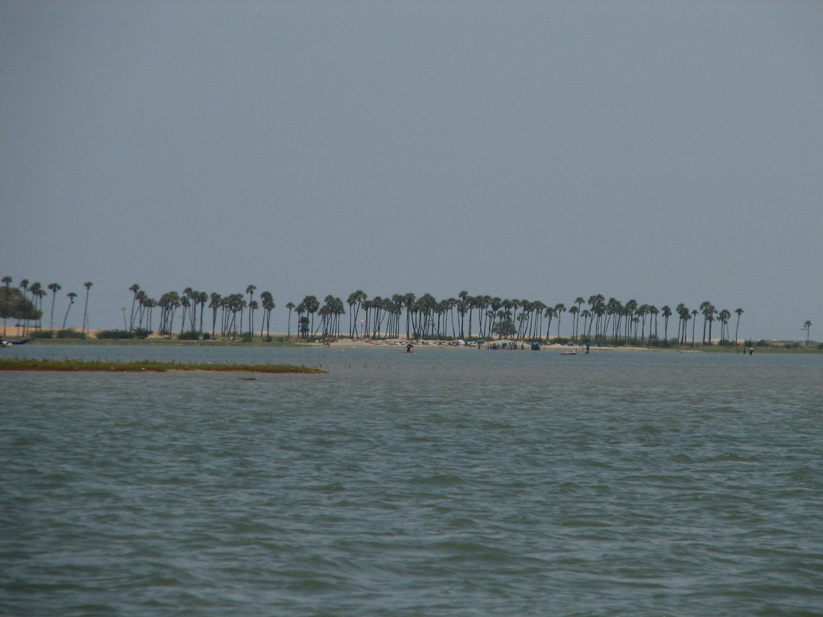 Program details for Flamingo Festival in Nellore district